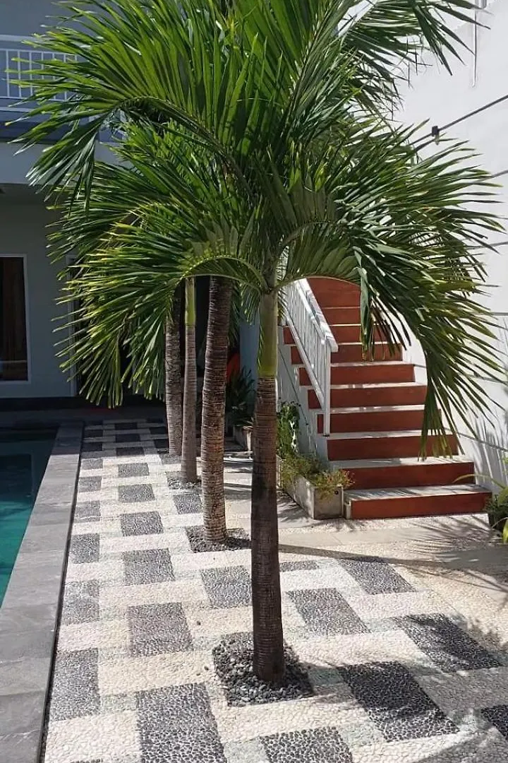 Villa Rose 1 Sanur Indonesia